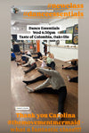 Dance Essentials Class